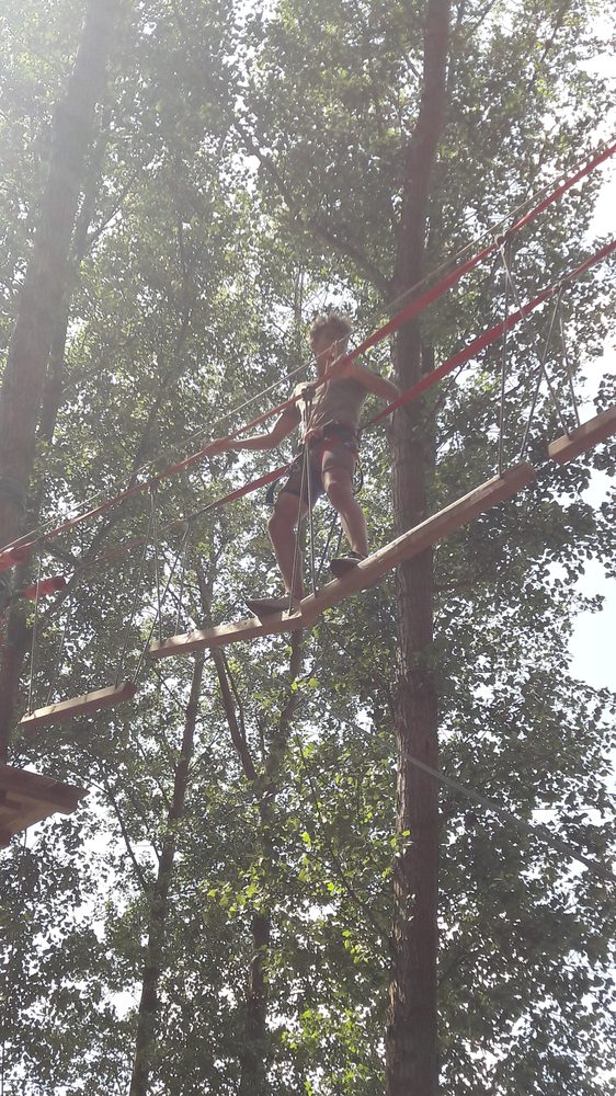Le parcours d'accrobranche dans les arbres